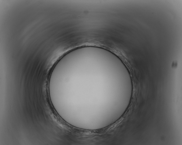 X0000089940098200707061108