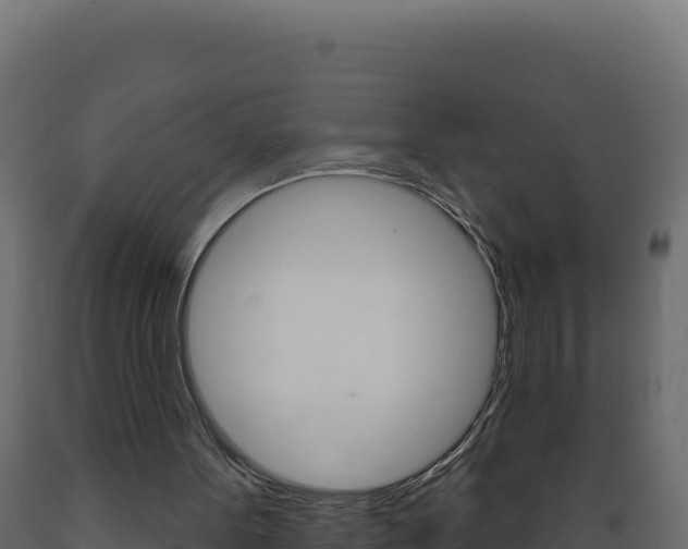 X0000089940099200707061108