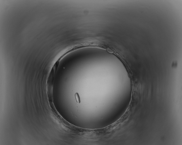 X0000089940100200707061108