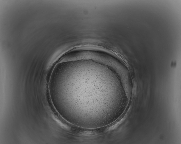 X0000089940101200707061108