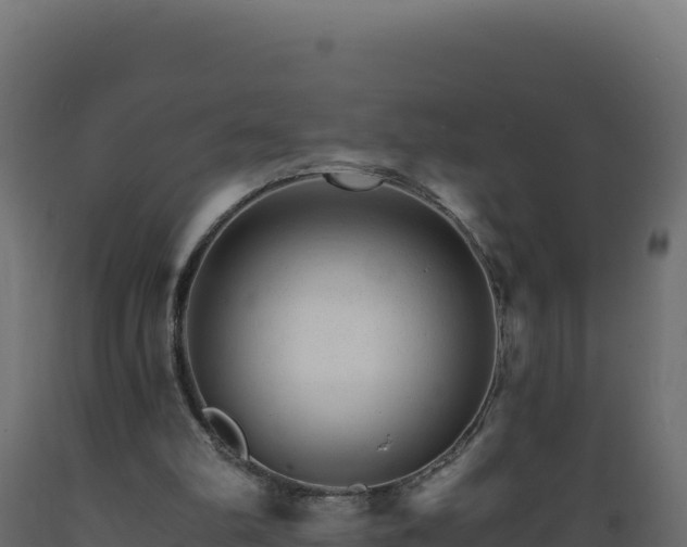 X0000089940102200707061108