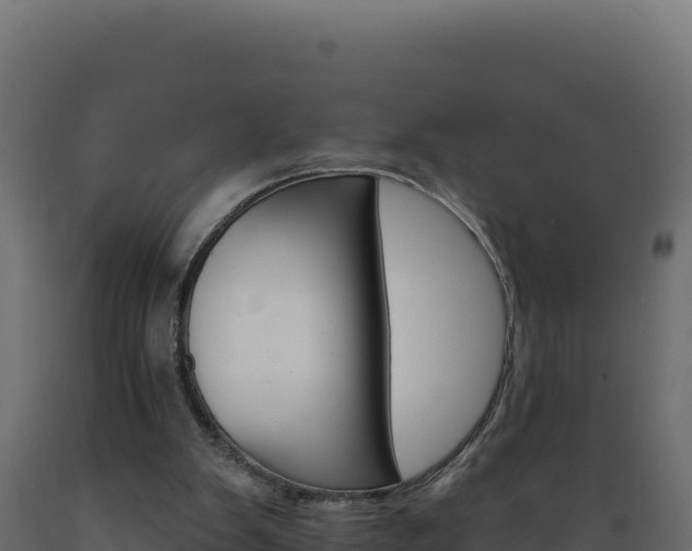 X0000089940103200707061108