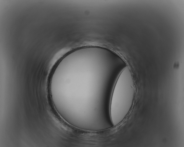 X0000089940104200707061108