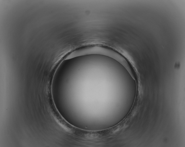 X0000089940105200707061108