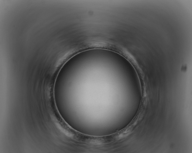 X0000089940106200707061108