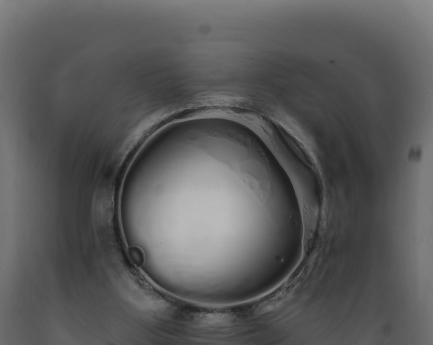 X0000089940107200707061108