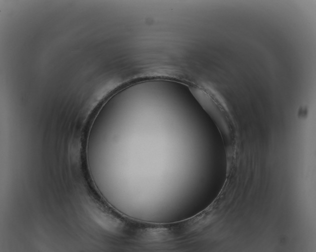 X0000089940108200707061108