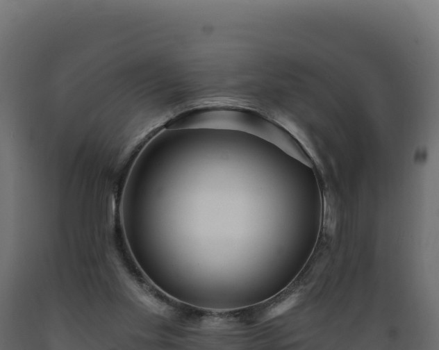 X0000089940109200707061108