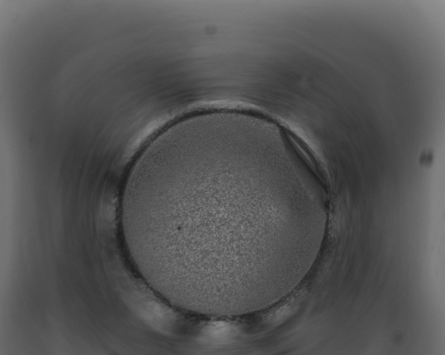 X0000089940111200707061108