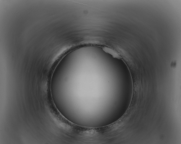 X0000089940112200707061108