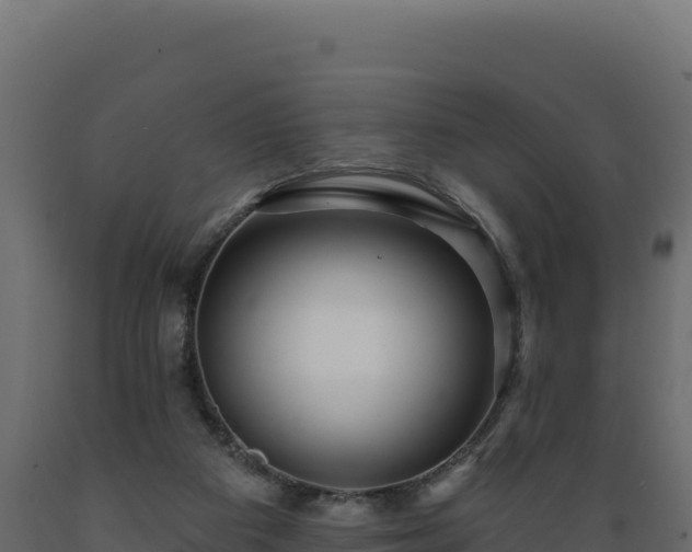 X0000089940113200707061108