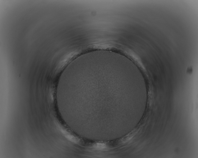 X0000089940114200707061108