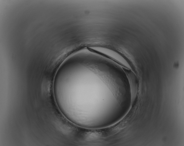 X0000089940115200707061108