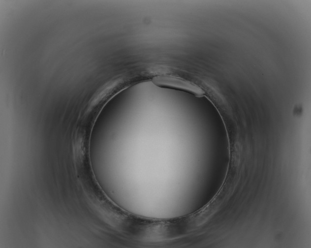 X0000089940116200707061108