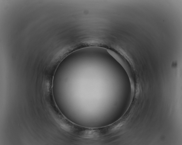 X0000089940117200707061108