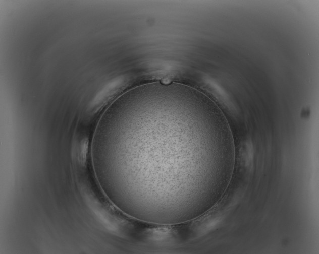 X0000089940118200707061108