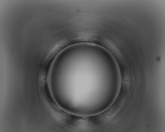 X0000089940119200707061108