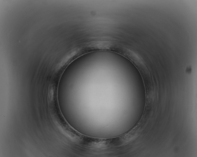 X0000089940120200707061108