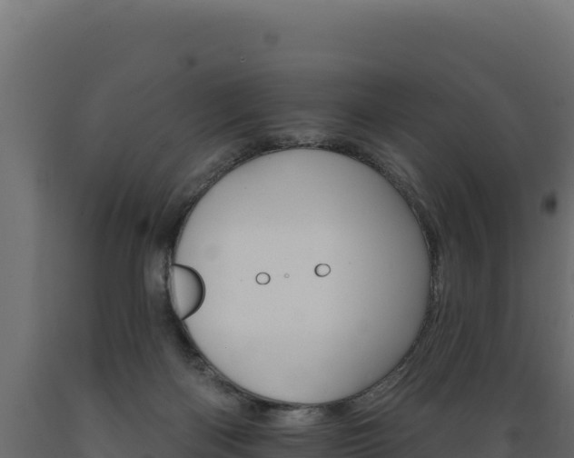 X0000089940122200707061108