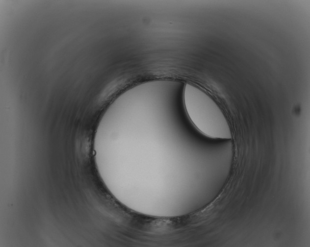 X0000089940124200707061108