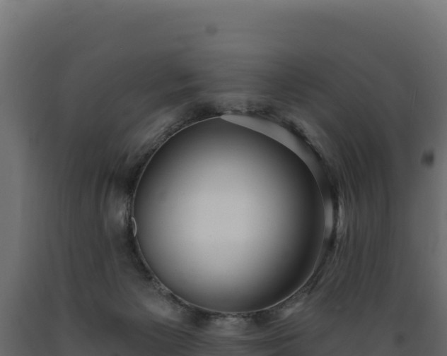 X0000089940125200707061108