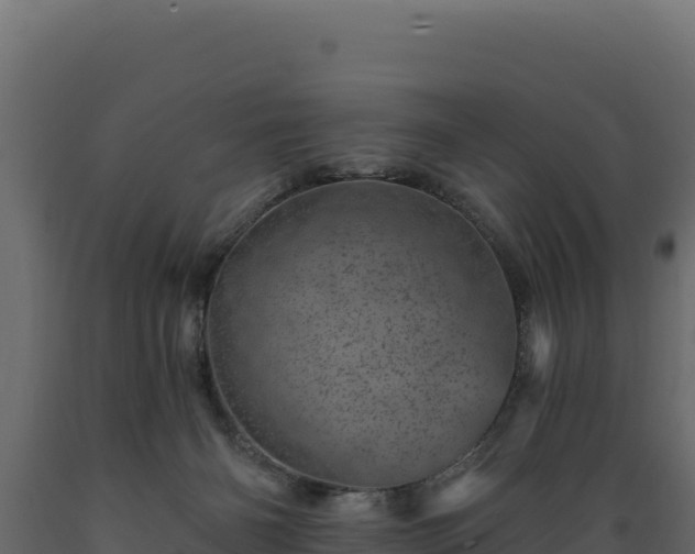 X0000089940126200707061108