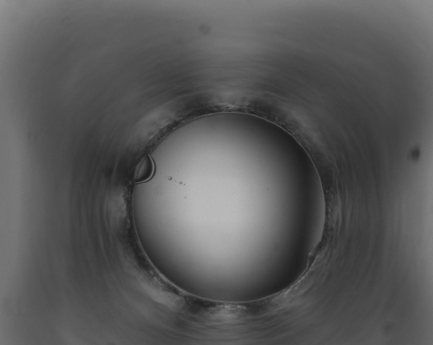 X0000089940128200707061108