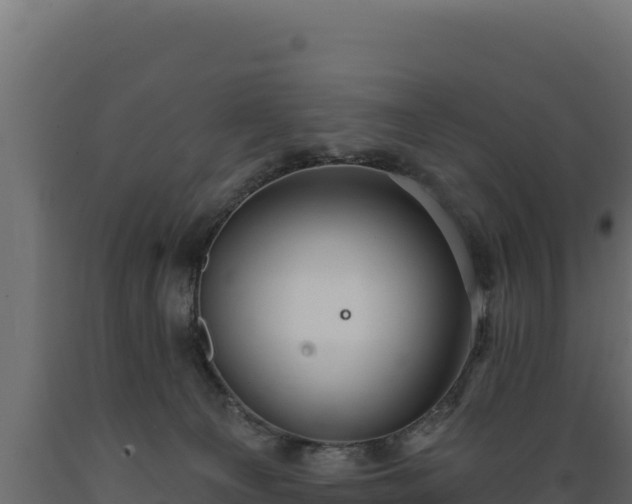 X0000089940129200707061108