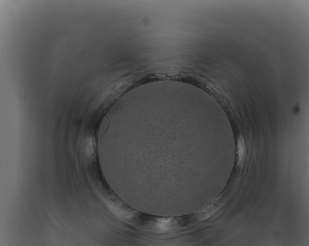 X0000089940130200707061108