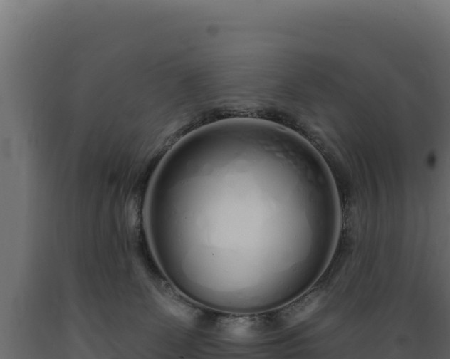 X0000089940131200707061108