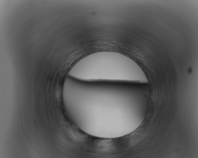 X0000089940132200707061108