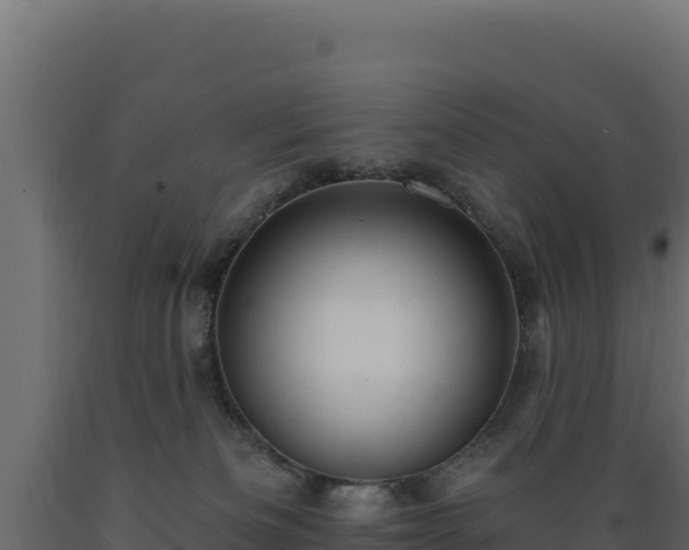 X0000089940133200707061108