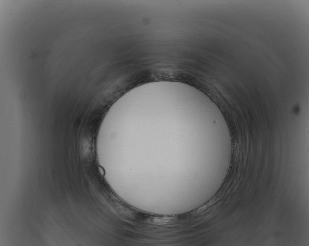 X0000089940134200707061108