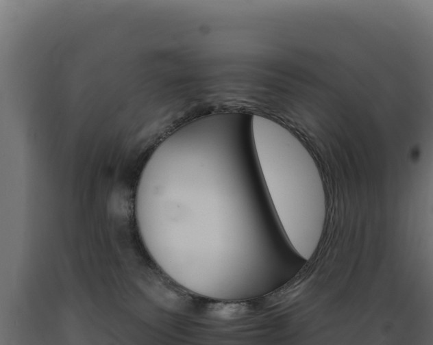 X0000089940135200707061108