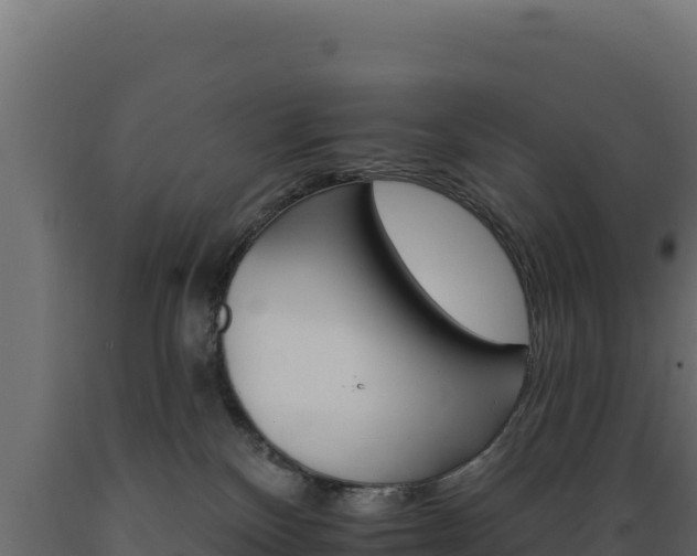 X0000089940136200707061108