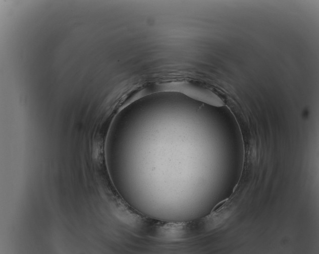 X0000089940138200707061108