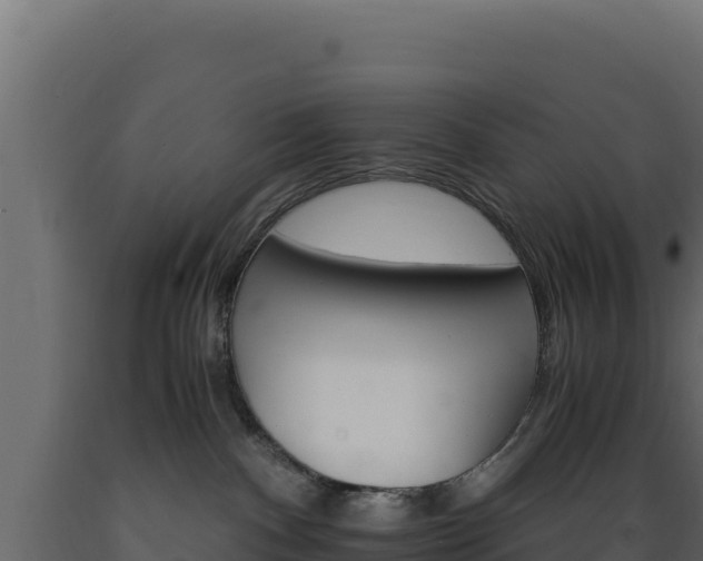 X0000089940140200707061108