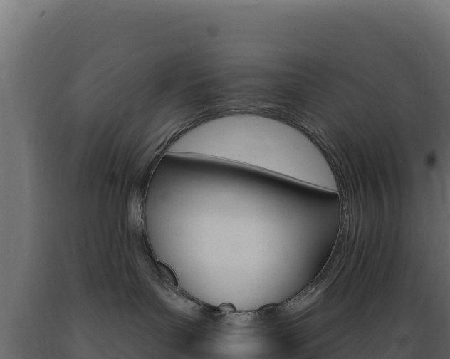 X0000089940143200707061108