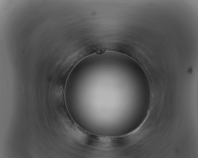 X0000089940144200707061108