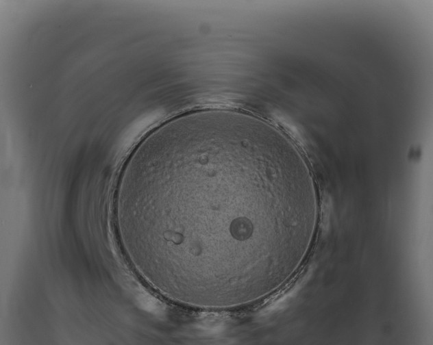 X0000089940145200707061107