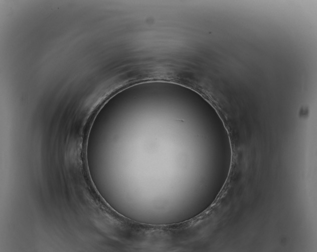 X0000089940146200707061107