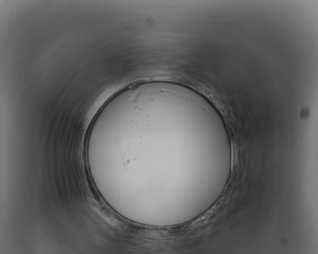 X0000089940147200707061107