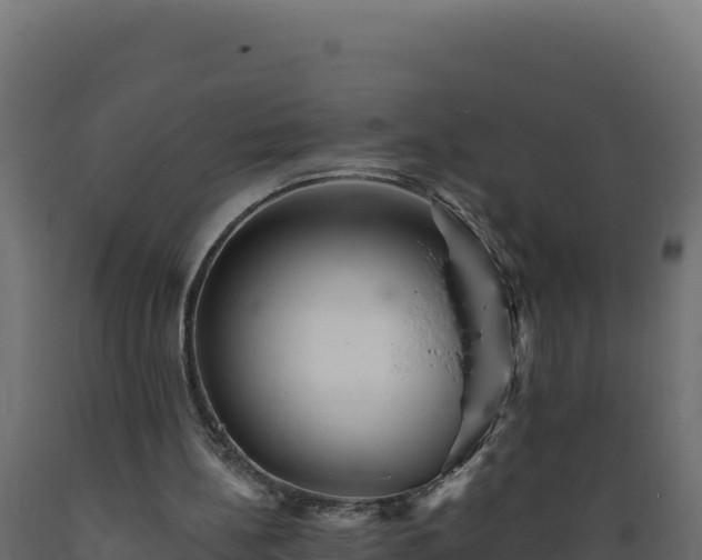 X0000089940148200707061107