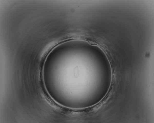 X0000089940149200707061107