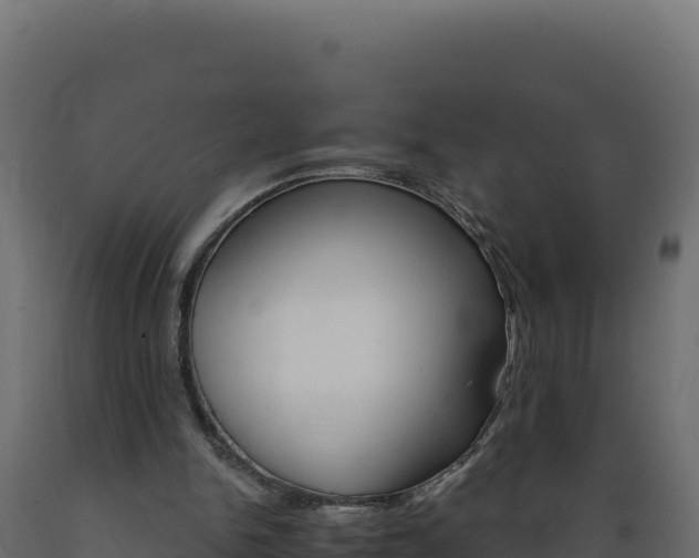 X0000089940150200707061107