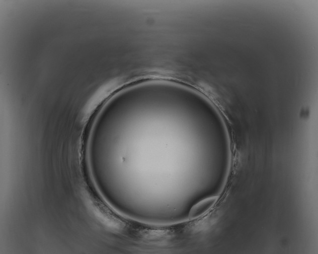 X0000089940151200707061107