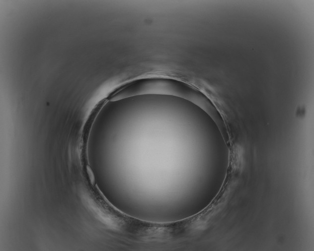 X0000089940152200707061107