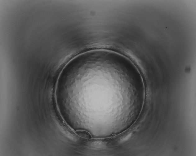 X0000089940153200707061107