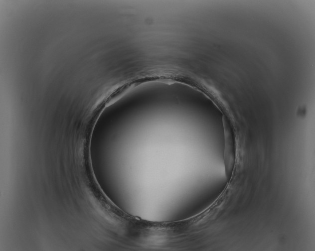 X0000089940154200707061107