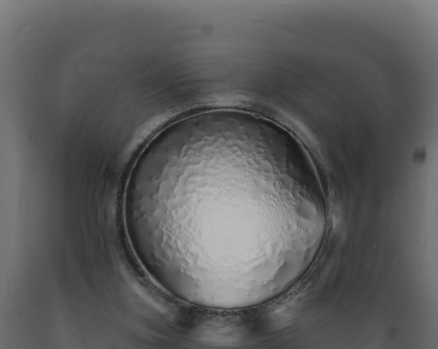 X0000089940155200707061107